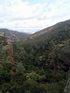 pinnacles-landing1